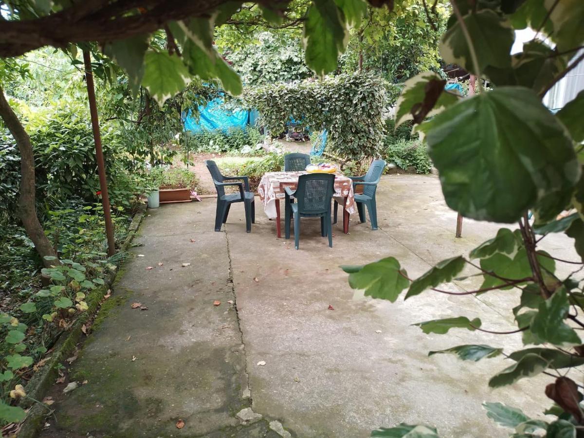 Merabi And Neli Guest House ماكينجاوري المظهر الخارجي الصورة